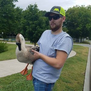 Meet your Posher, Gregory